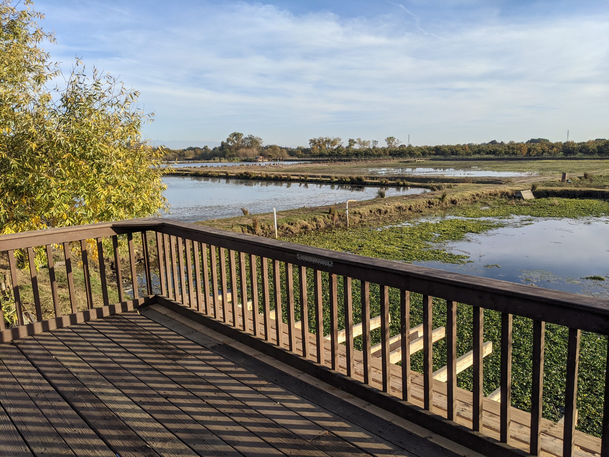 Day Use Area Picnic : The Fishing Hut - Image 4