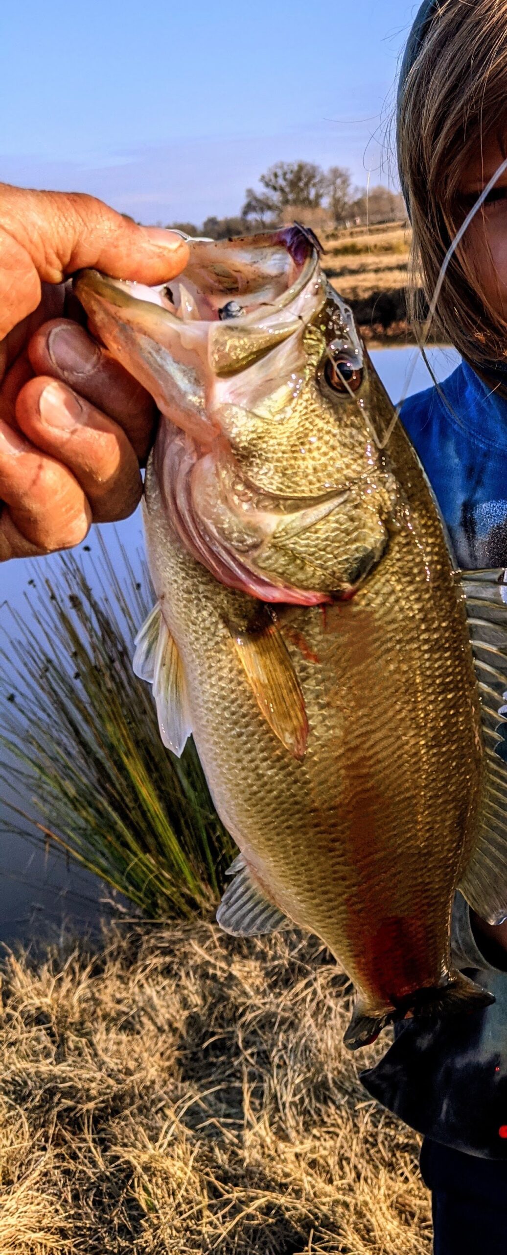 Baitcaster Gear - Image 3