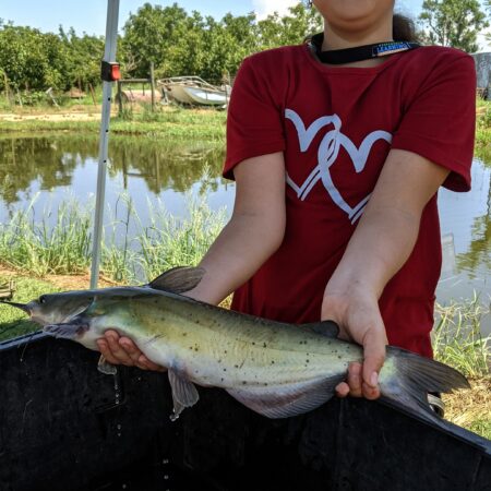Guided Fishing - Half Day