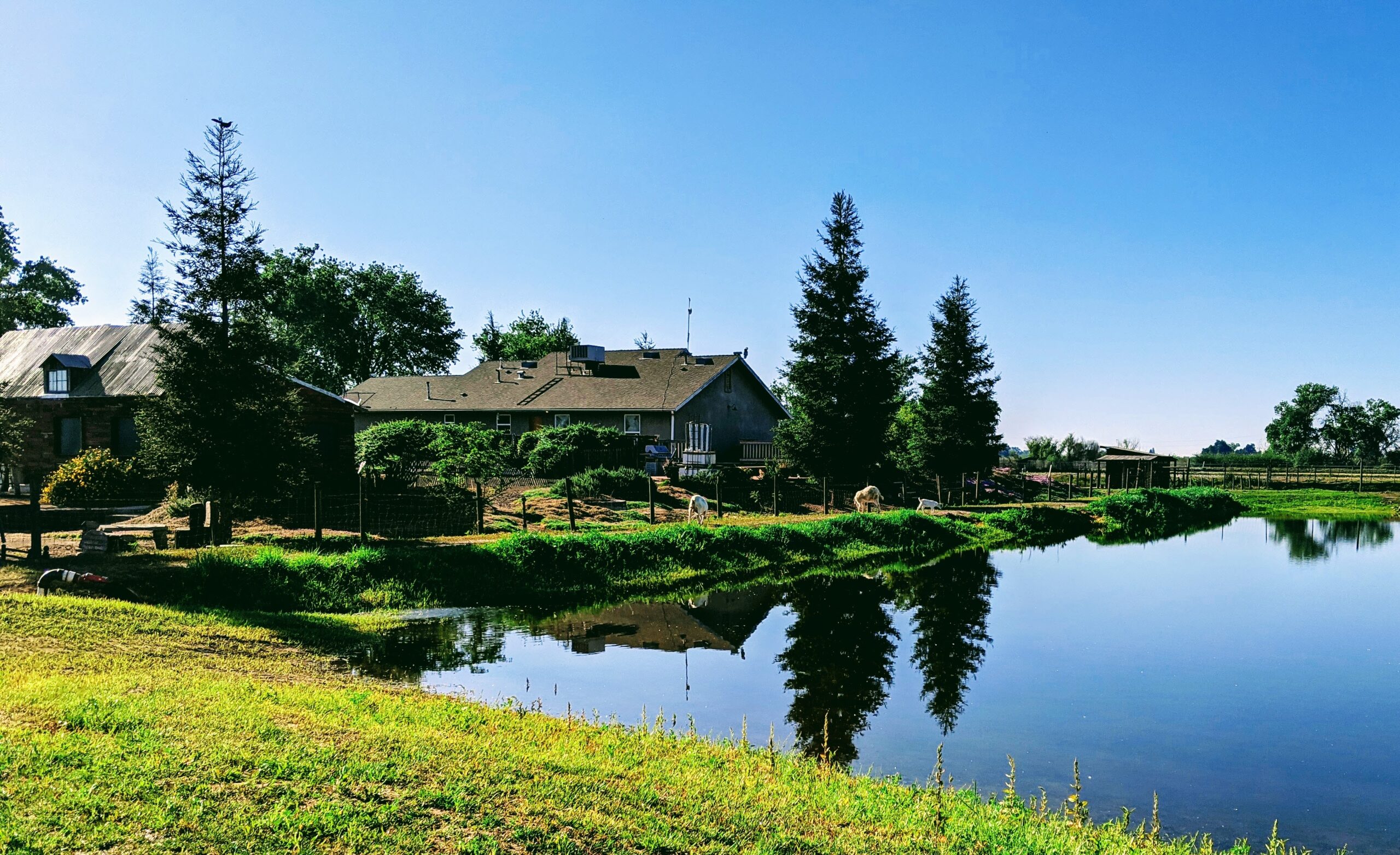 The Farmhouse