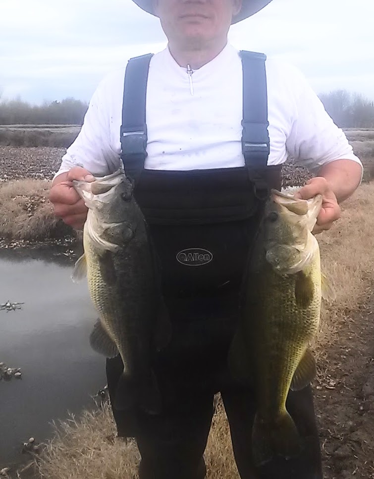 Baitcaster Gear - Image 2